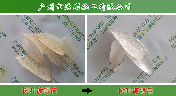 ��(sh��)�~��y �ǽ�����y ������y ���W(xu��)��yˮ